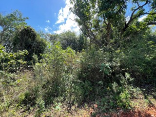 Residential lot For Sale in Spring Garden Morgans Run, St. Catherine, Jamaica