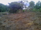 Residential lot For Sale in Springfield main road, Westmoreland Jamaica | [5]