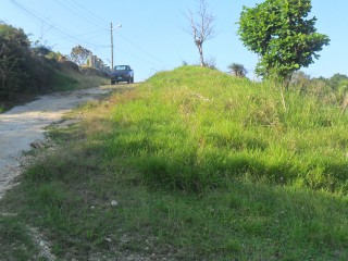Residential lot For Sale in Linstead Buena Vista, St. Catherine Jamaica | [4]