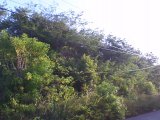 Residential lot For Sale in RIO NUEVO RESORT, St. Mary Jamaica | [4]