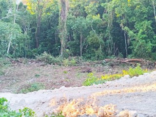 Land For Sale in Lot 525 Orchard Gardens Gated, Hanover Jamaica | [5]