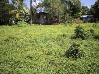 Residential lot For Sale in Middle Quarters, St. Elizabeth Jamaica | [5]