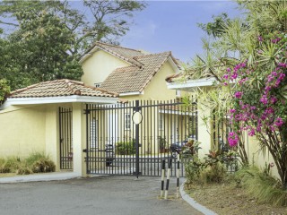 1 bed Apartment For Rent in Kingston 6, Kingston / St. Andrew, Jamaica