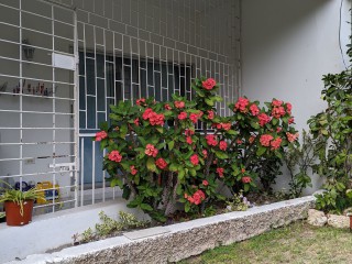 Apartment For Rent in Crystal Towers, Kingston / St. Andrew Jamaica | [10]