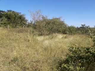 Residential lot For Sale in Luana, St. Elizabeth Jamaica | [3]