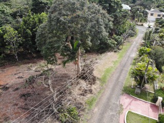 Residential lot For Sale in Pioria, Manchester Jamaica | [10]