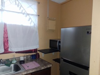 Apartment For Rent in New Kingston, Kingston / St. Andrew Jamaica | [1]