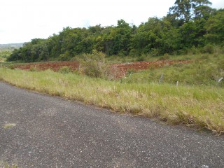 Land For Sale in Spur Tree, Manchester Jamaica | [1]