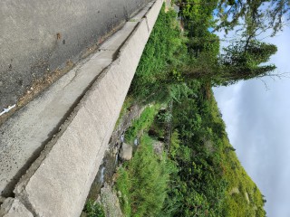 Land For Sale in Cedar Valley  St Thomas, St. Thomas Jamaica | [11]