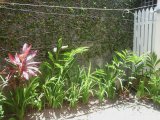 Townhouse For Rent in Norbrook Springs Kgn 8 Townhouse, Kingston / St. Andrew Jamaica | [10]