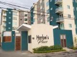 Apartment For Rent in Harloe Place, Kingston / St. Andrew Jamaica | [5]