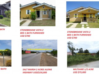 TRELAWNY, Trelawny, Jamaica - House for Lease/rental