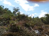 Residential lot For Sale in Sligoville, St. Catherine Jamaica | [7]