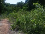 Residential lot For Sale in Negril UNDER OFFER, Westmoreland Jamaica | [2]