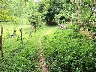 Land For Sale in Petersville, Westmoreland Jamaica | [1]