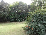 House For Sale in Mammee Bay Estate, St. Ann Jamaica | [7]
