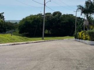 Land For Sale in Lacovia, St. Elizabeth Jamaica | [7]