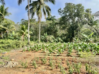 Residential lot For Sale in Spring Vale, St. Catherine Jamaica | [7]