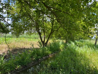 Residential lot For Sale in Bushy Park, St. Catherine, Jamaica