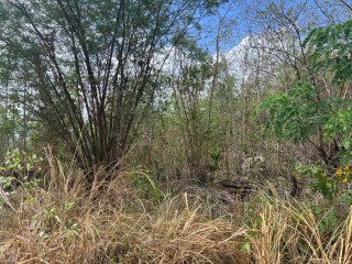 Land For Sale in Red Hills, St. Catherine Jamaica | [2]