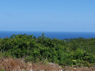 Residential lot For Sale in Montego Bay St James, St. James Jamaica | [10]