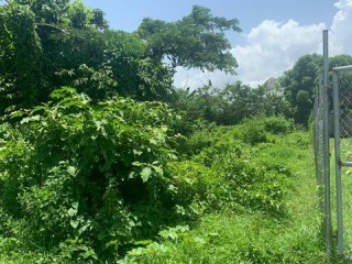 Residential lot For Sale in LUANA PEN BLACK RIVER, St. Elizabeth Jamaica | [7]