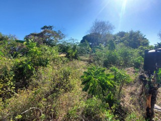 Residential lot For Sale in Albion Estate, St. Thomas, Jamaica