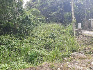 Residential lot For Sale in Coopers Hill Red Hills KGN 19, Kingston / St. Andrew, Jamaica